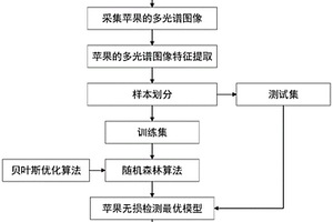 贝叶斯优化随机森林算法的苹果多光谱图像无损检测方法