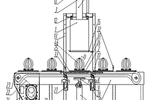 西瓜密度在线检测方法与装置
