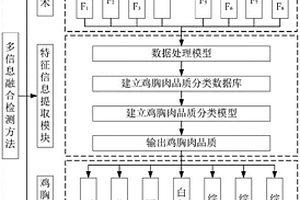 基于多信息融合的异质鸡胸肉品质检测方法