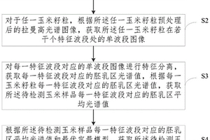 玉米籽粒中淀粉含量的检测方法及系统