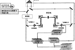 太赫兹时域光谱快速检测淀粉样蛋白的方法