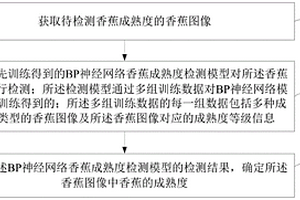 基于BP神经网络的香蕉成熟度检测方法及装置