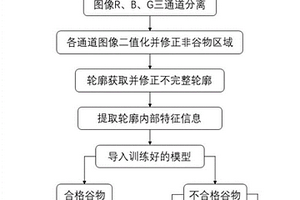 基于偏振光和紫外光成像的谷物呕吐毒素检测装置和方法