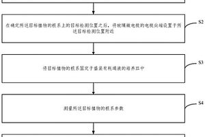 基于离子吸收动力学的离子流速检测方法及系统