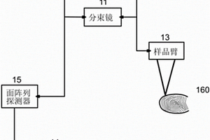 利用全像场弱相干层析成像术对身份识别的方法及结构