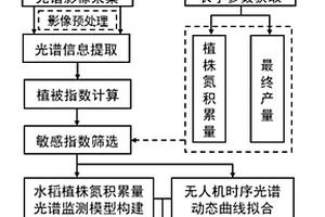 基于固定翼无人机多光谱影像的水稻氮肥推荐方法