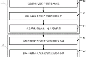 基于拉曼光谱的大气黑碳气溶胶源解析方法