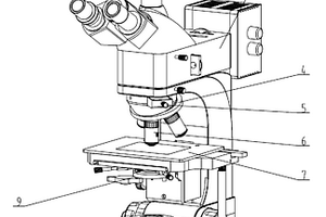 落射式微分干涉相衬显微镜