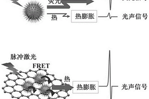 基于荧光淬灭效应实现复合探针光声信号增强的方法