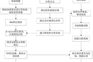 基于机器学习的踝骨折及韧带损伤诊断方法