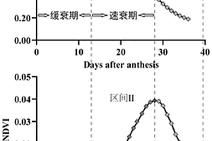 利用花后NDVI动态分析禾谷类作物冠层衰老进度的方法