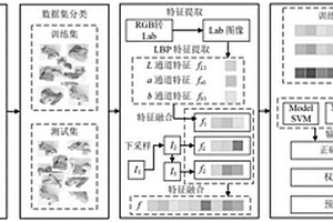 基于图像亮度信息和投票机制的硫熏干姜鉴别方法