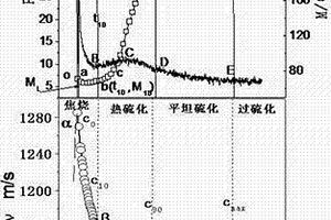 硫化过程超声波在线表征方法和装置