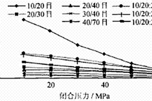 低渗透气井CO2重复压裂工艺技术