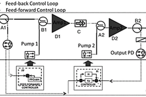 L-band光纤放大器中前馈泵浦失效的探测结构及方法