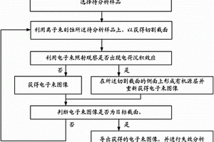 聚焦离子束分析方法