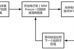 失效分析无缓冲图像采集的方法和系统