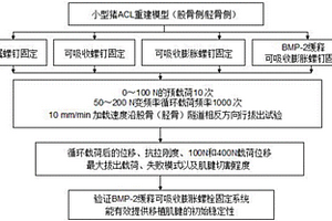 交叉韧带重建中移植肌腱的测试方法