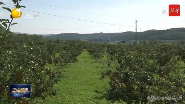 辽宁：全面开启绿色矿山建设