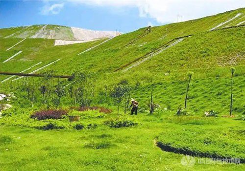 有进有出，山东建立绿色矿山退出机制