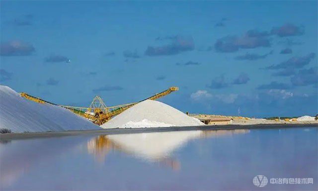 澳大利亚矿产勘探公司联手蔚来汽车，推进阿根廷盐湖锂项目勘探