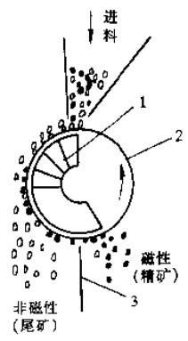 双辊对置干式磁选机工作原理