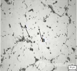 铸态Mg-5Li-3Al-2Zn-1.2Nd合金显微组织照片
