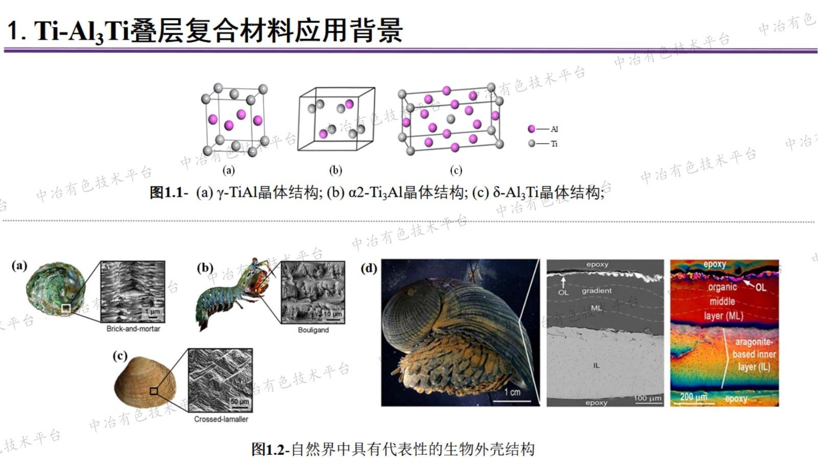 Ti-Al3Ti 叠层复合材料制备及抗侵彻性能研究