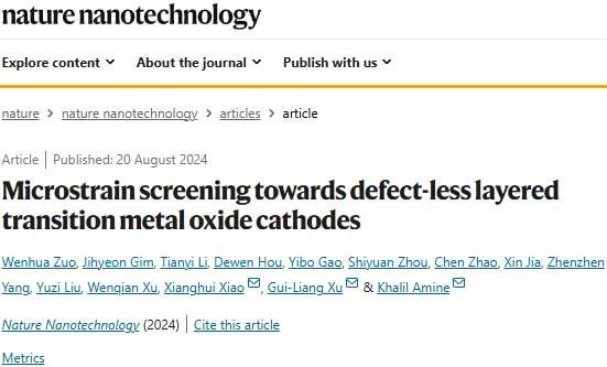 两大国际知名实验室联手重磅Nature Nanotech.：聚焦钠离子电池正极！