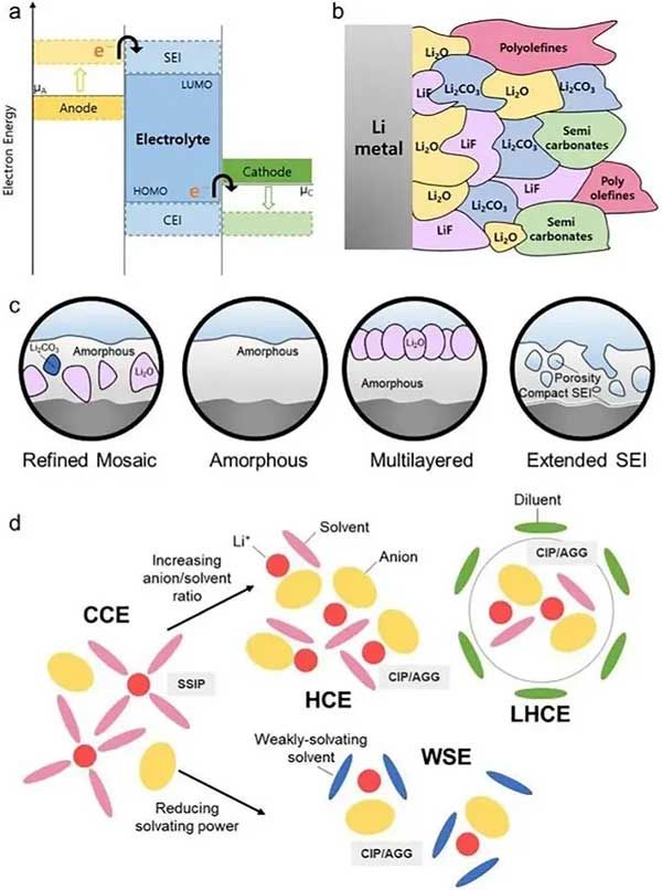 负极、电解液和正极及产生SEI和CEI的相应电子转移过程