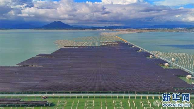 电从海上来！我国首个建设在高风速海域的海上光伏项目并网投产