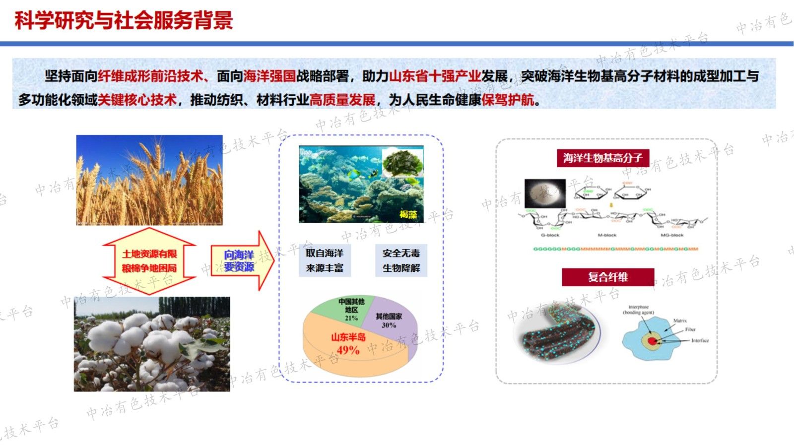 生物基纳米纤维