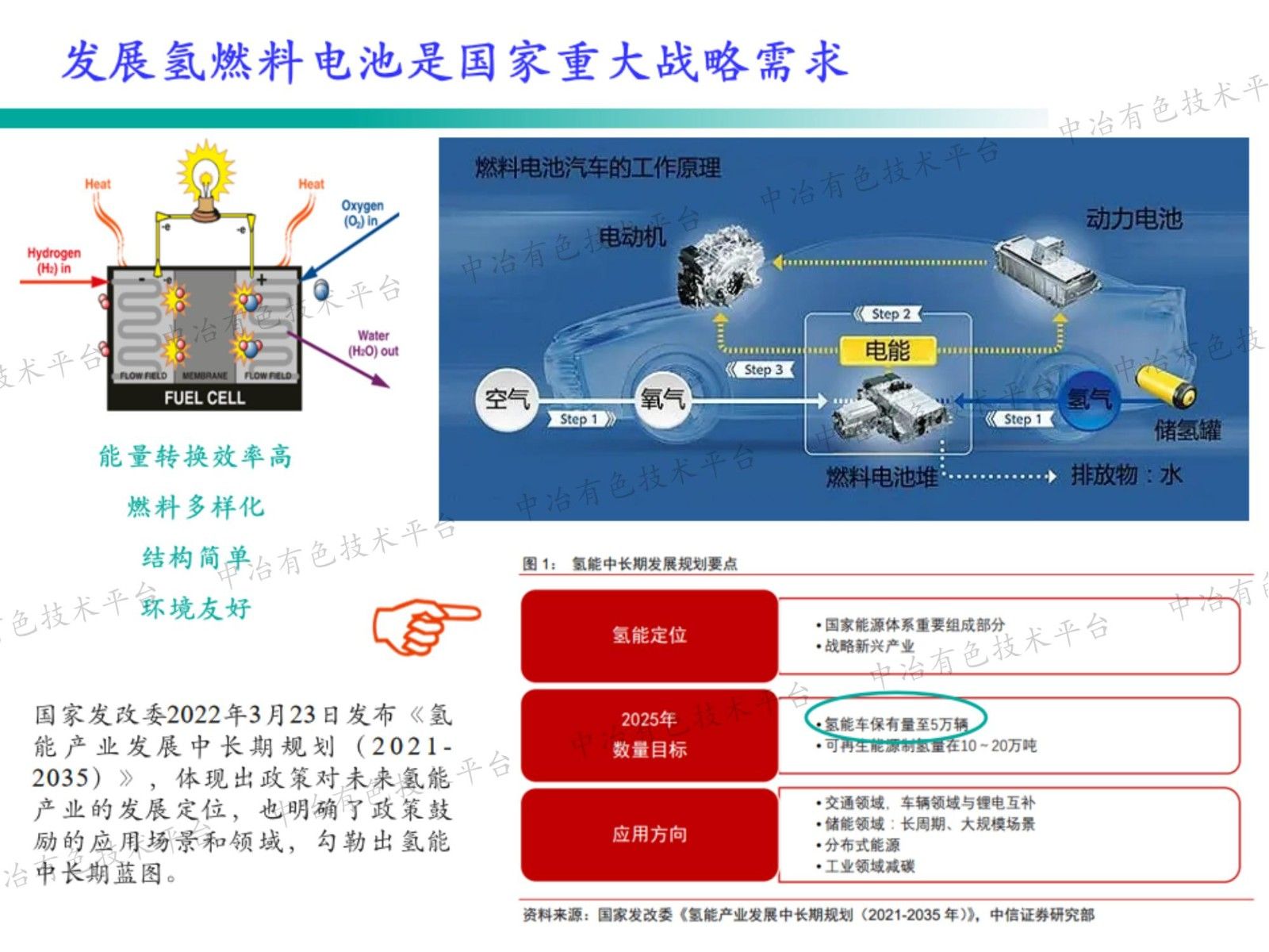 钯金属烯中氮掺杂位点对氧还原反应催化活性和稳定性的影响