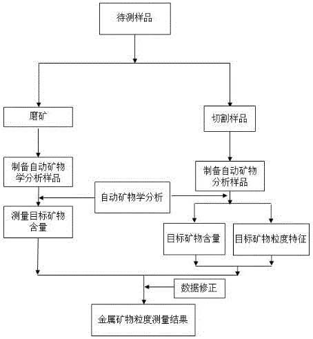 金属矿物粒度的测量方法