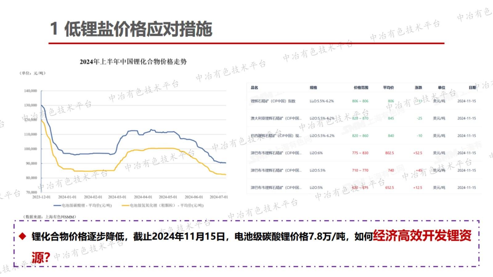 低品位锂多金属资源高效开发利用