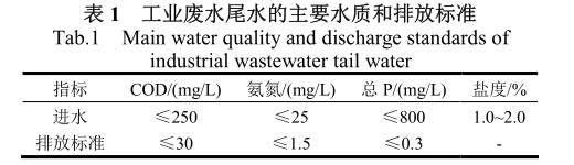 工业废水尾水深度处理芬顿氧化法