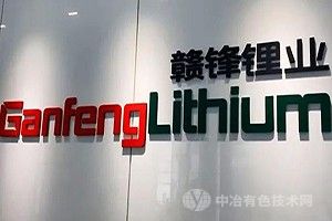 赣锋锂业与富临精工强强联合  共创锂业新篇章