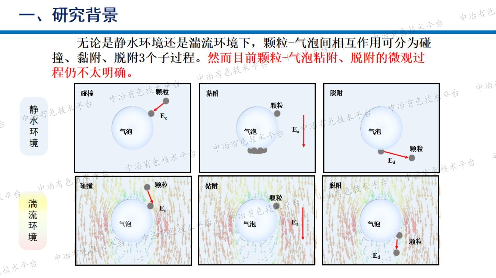 颗粒与气泡相互作用行为研究