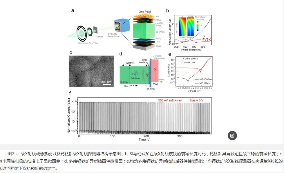 中国科大突破钙钛矿软X射线探测技术 实现量子效率新高