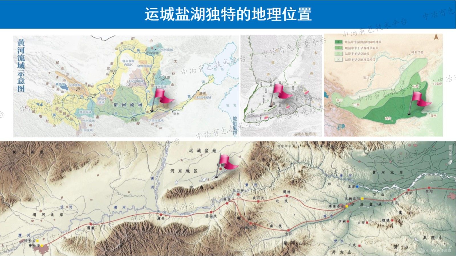 运城盐湖湿地土壤微生物多样性及其对重金属的响应