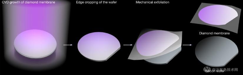 南科大突破性成果：实现大尺寸超柔性金刚石薄膜的规模化制备