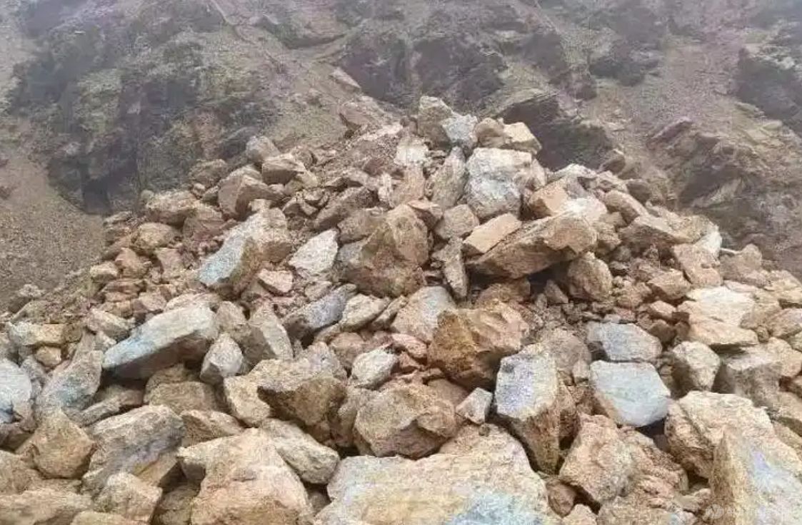 巴拿马总统称第一量子科布雷铜矿暂无直接风险，将研保护计划