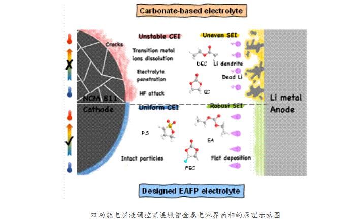 西安交通大学在宽温域锂金属电池技术上取得重要突破