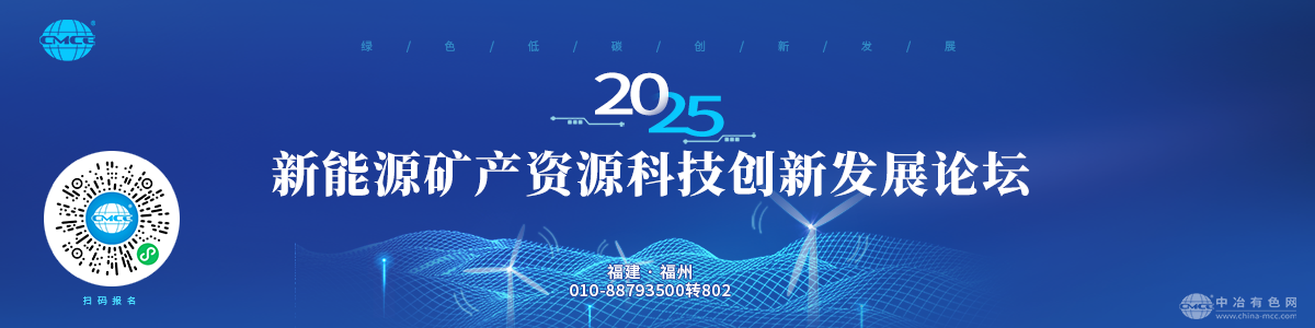 2025新能源矿产资源科技创新发展论坛