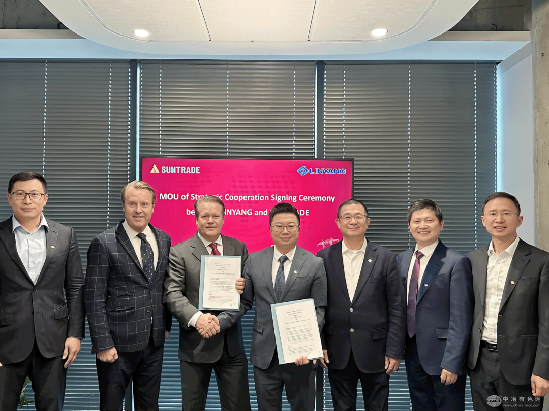 林洋能源与瑞典Suntrade集团强强联合，300MWh储能系统产品采购合作达成