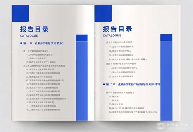 锂电正极材料报告2025