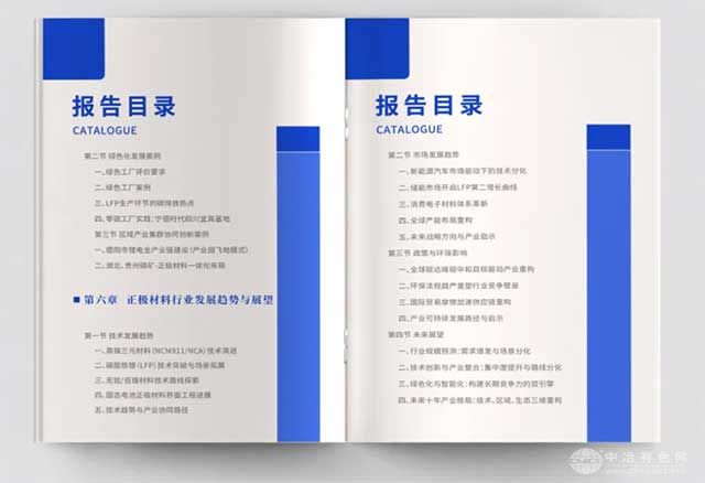 锂电正极材料报告2025