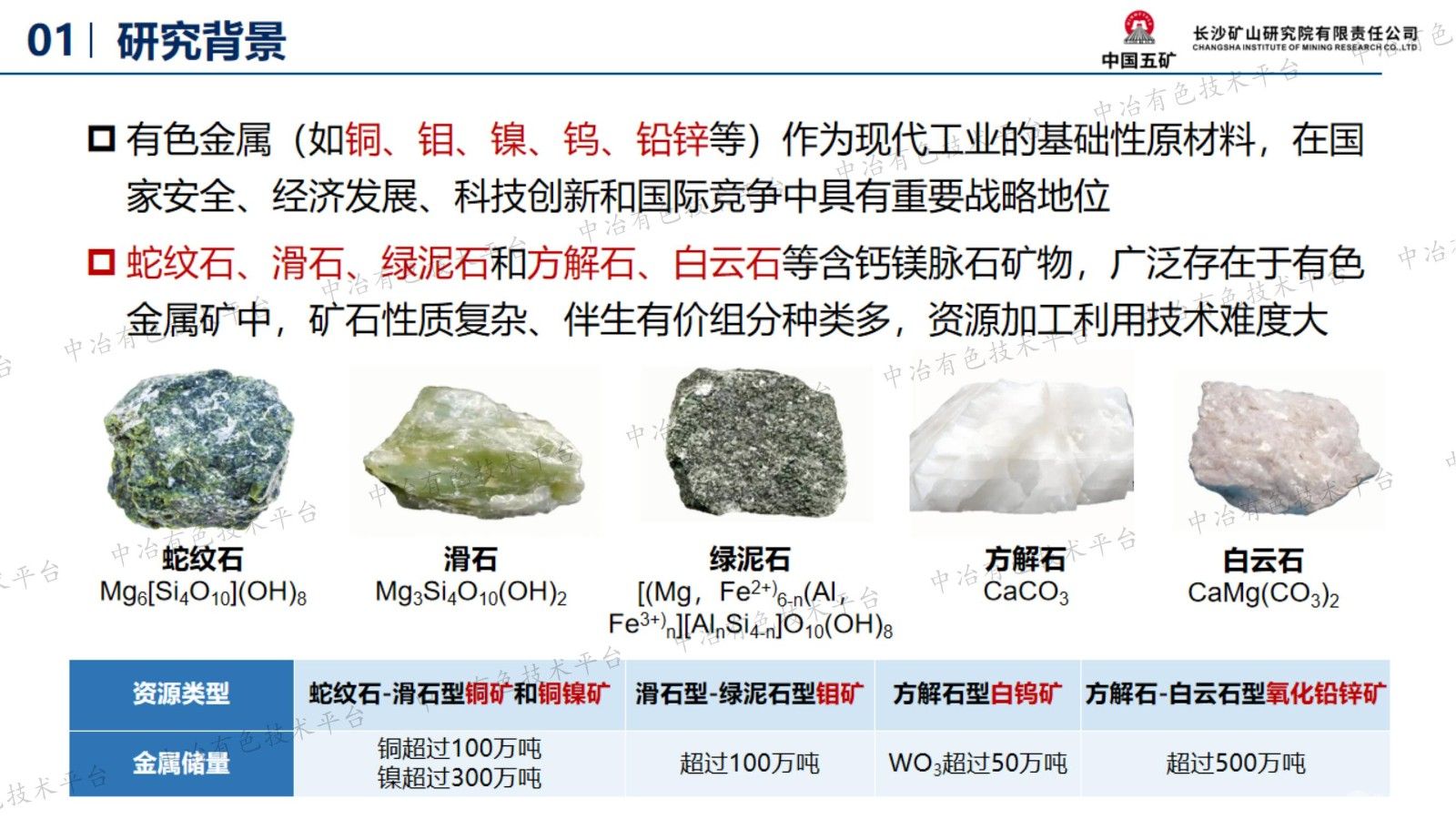 含钙镁脉石矿物的有色金属矿选矿药剂 发展及应用