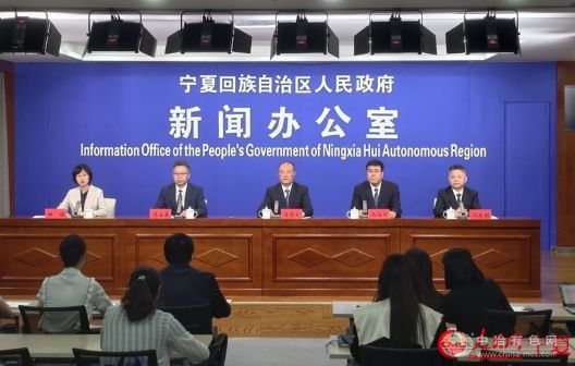 宁夏储能装机规模达541万千瓦，加速能源转型与电网升级