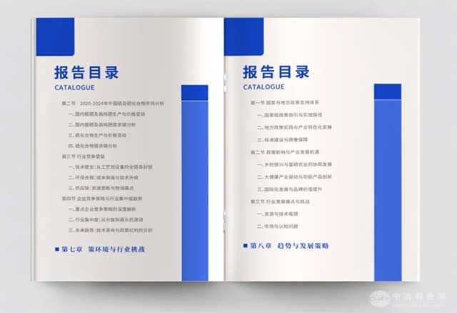 硒产业报告2025